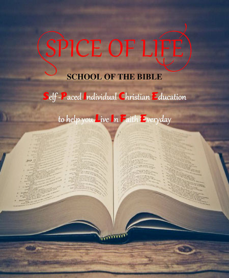 SPICE OF LIFE cover page 450